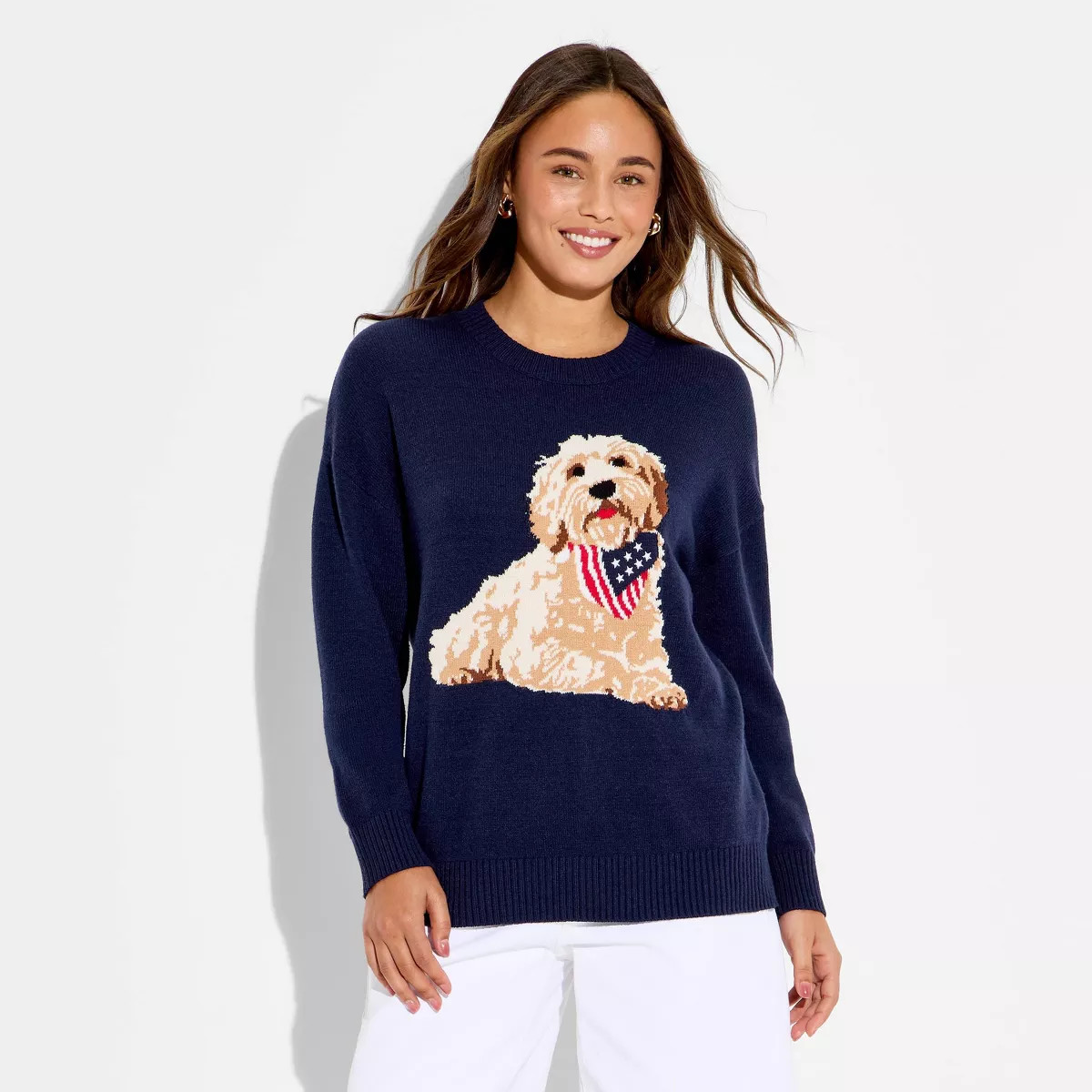 Women's Americana Dog Long Sleeve Graphic Pullover Sweater- Blue XS | Target
