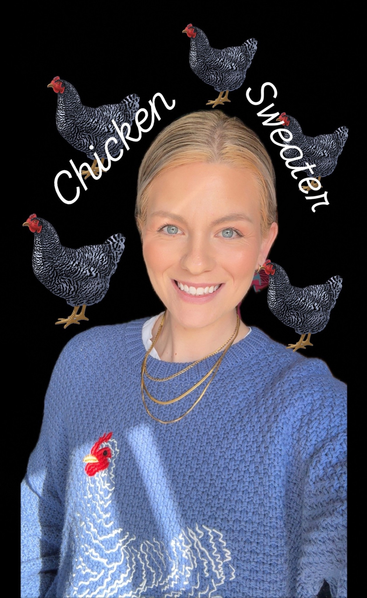 Chicken Sweater 