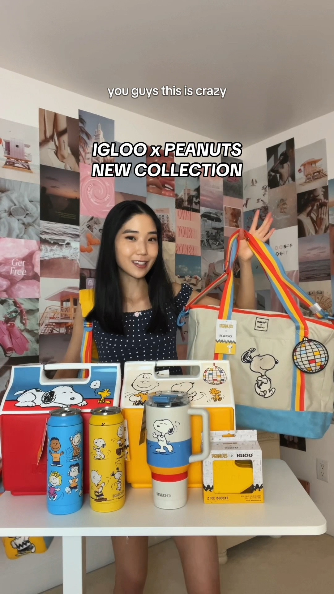 Igloo x Peanuts!! These are so cute 🥹❤️
 #igloo #peanuts #snoopy #travel #gameday #home #office #lunch #bag #family 

#LTKFamily #LTKTravel #LTKItBag