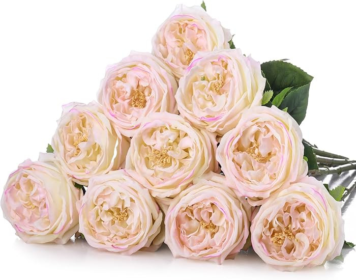 10pcs Real Touch Peonies Artificial Flowers, Faux Austin Rose with Long Stem Look Real Fake Flowe... | Amazon (US)