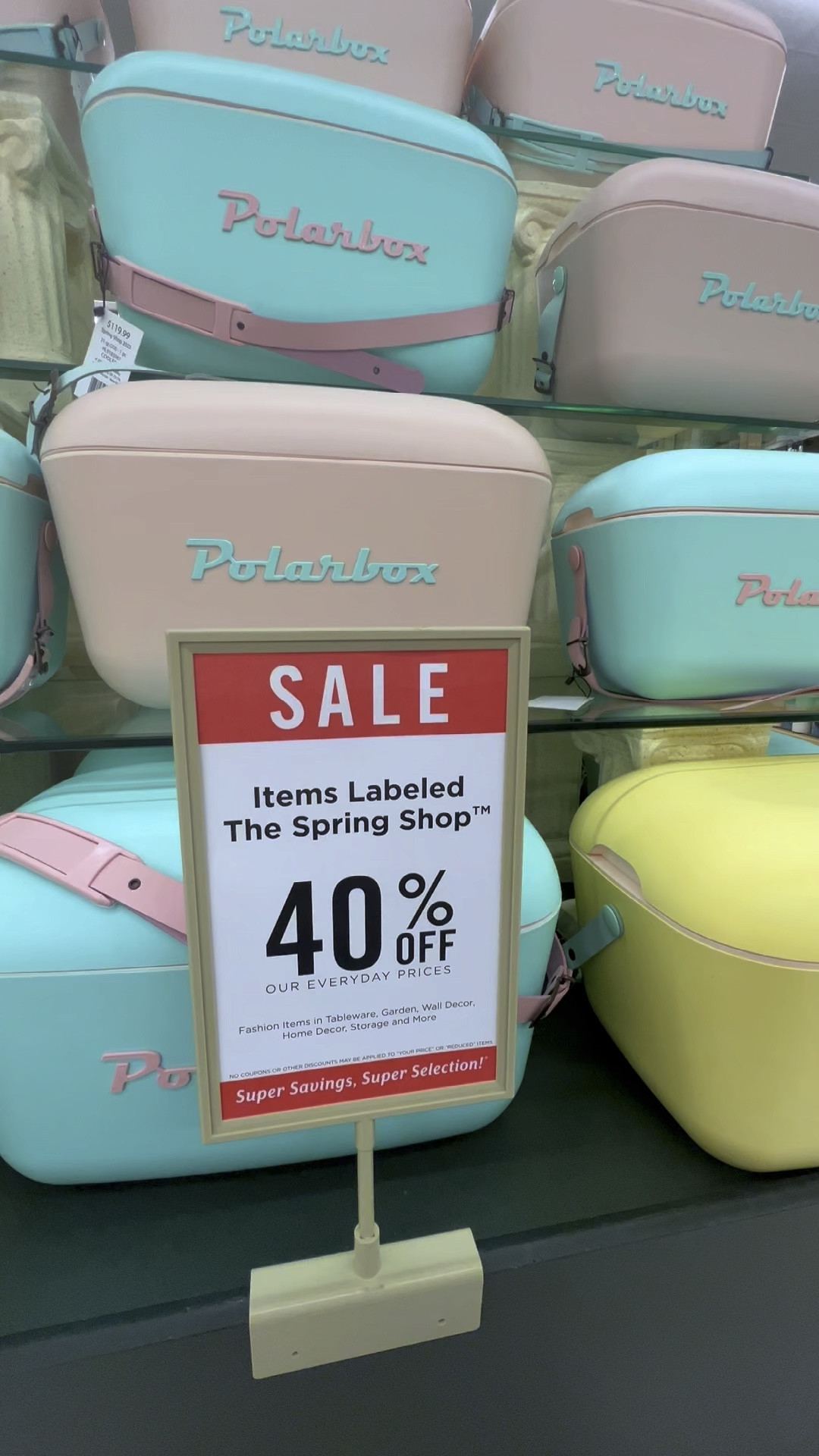 Hobby Lobby is really stepping up their game 👏 These POLARBOX coolers are giving me Miami Vice/ 80s summer vibes. LOVE!!!! 

#LTKunder50 #LTKhome #LTKFind