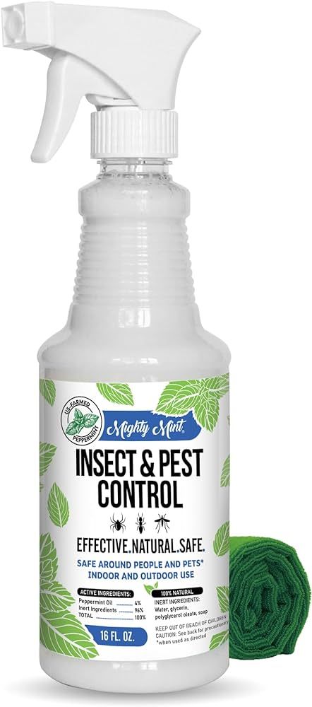 Mighty Mint 16 oz Peppermint Oil Insect & Pest Spray - for Spiders, Ants, and More | Amazon (US)