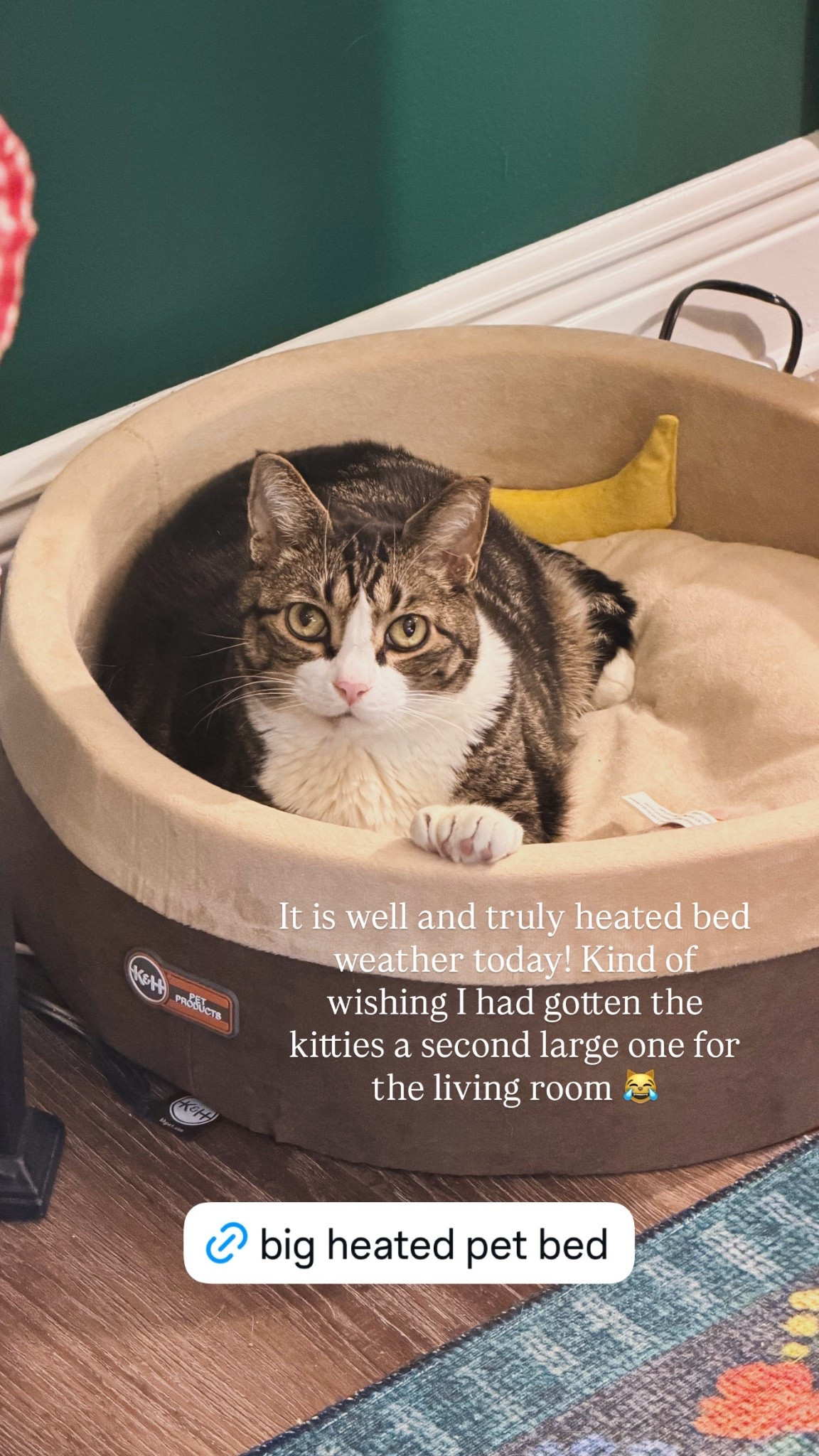 It is well and truly heated bed weather today! Kind of wishing I had gotten the kitties a second large one for the living room 😹

#LTKSeasonal #LTKstorytime #LTKmomlife