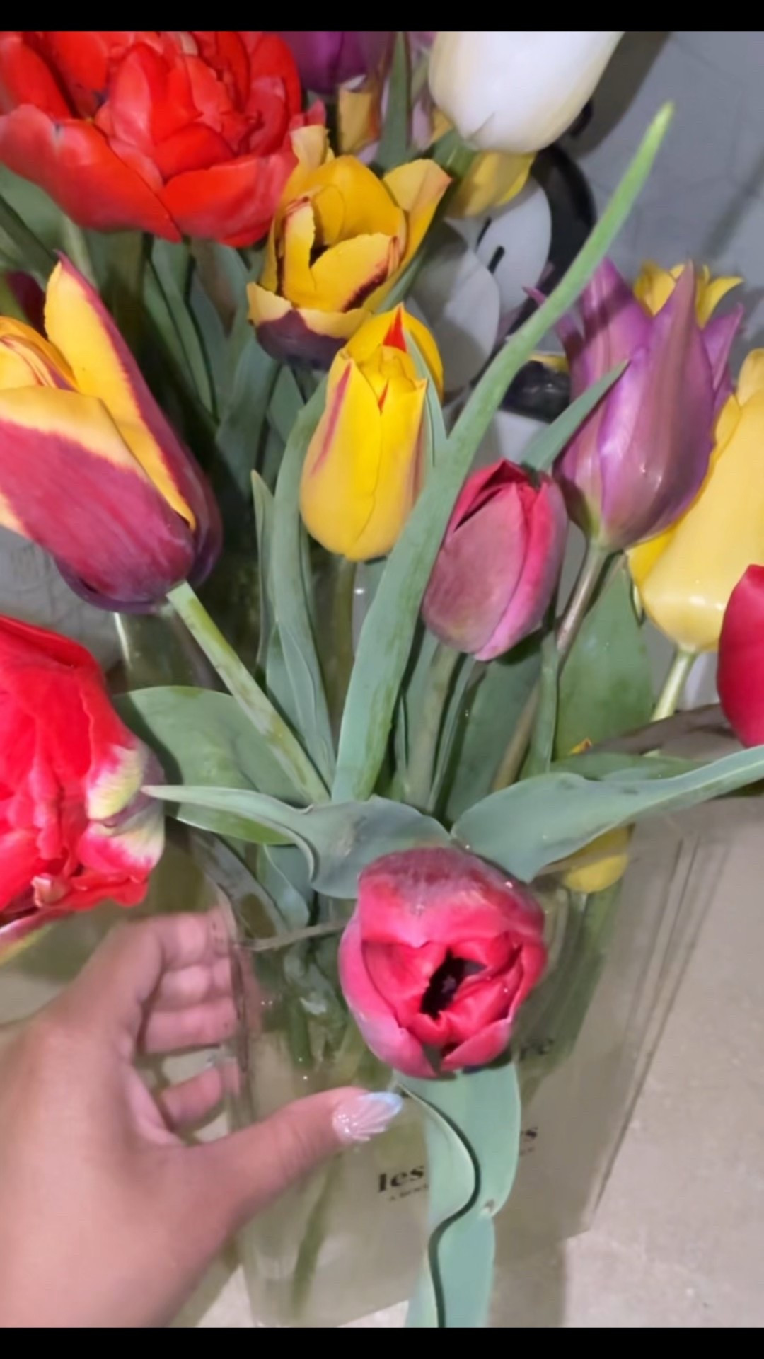 Book Vases 🌷

#LTKHome #LTKWatchNow #LTKGiftGuide