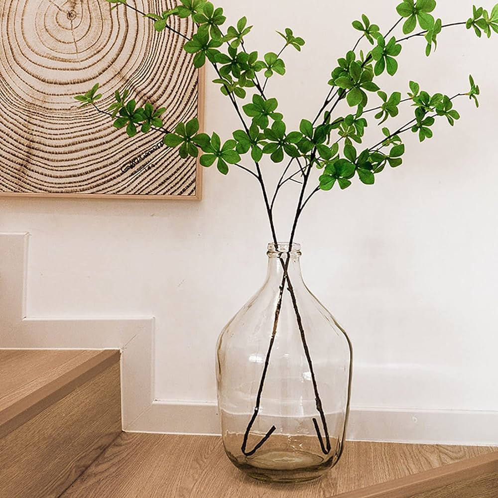 HEWEGO Glass Large Vases for Decor,Round Balloon Glass Jug Vase,Clear Large Vases for Flowers,Lon... | Amazon (US)