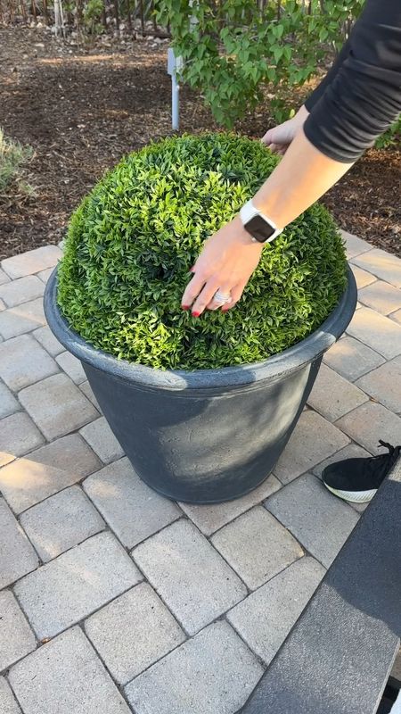 I love these faux boxwoods!  I used a half to instantly green up my patio and will never have to worry about watering!

#LTKVideo #LTKhome #LTKSeasonal
