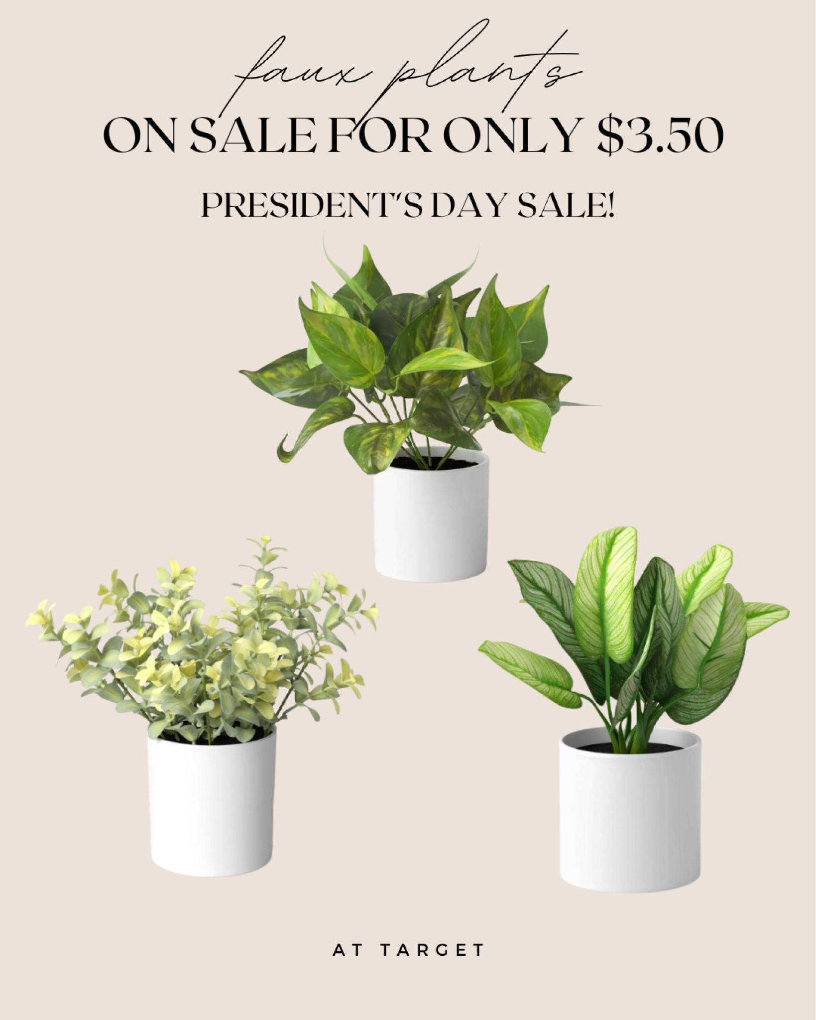 Only $3.50 at Target! Beautiful faux plants on sale for Presidents Day! Cute spring decor idea 🪴

#spring #decor #plants #target

#LTKSeasonal #LTKSale #LTKhome