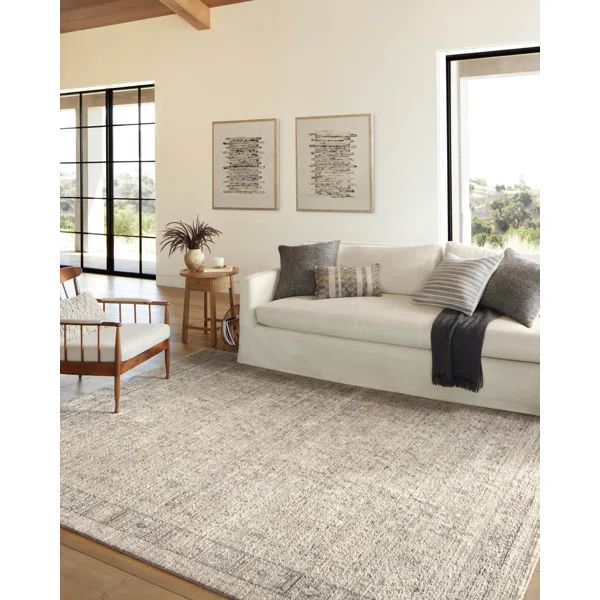 Amber Lewis x Loloi Alie Taupe / Dove Area Rug | Wayfair North America