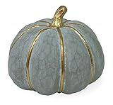 Boston International Decorative Pumpkin Tabletop Décor, Grey Gold Striped | Amazon (US)