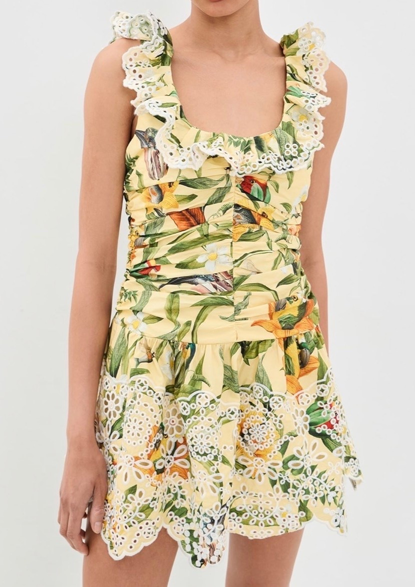 Farm Rio dress