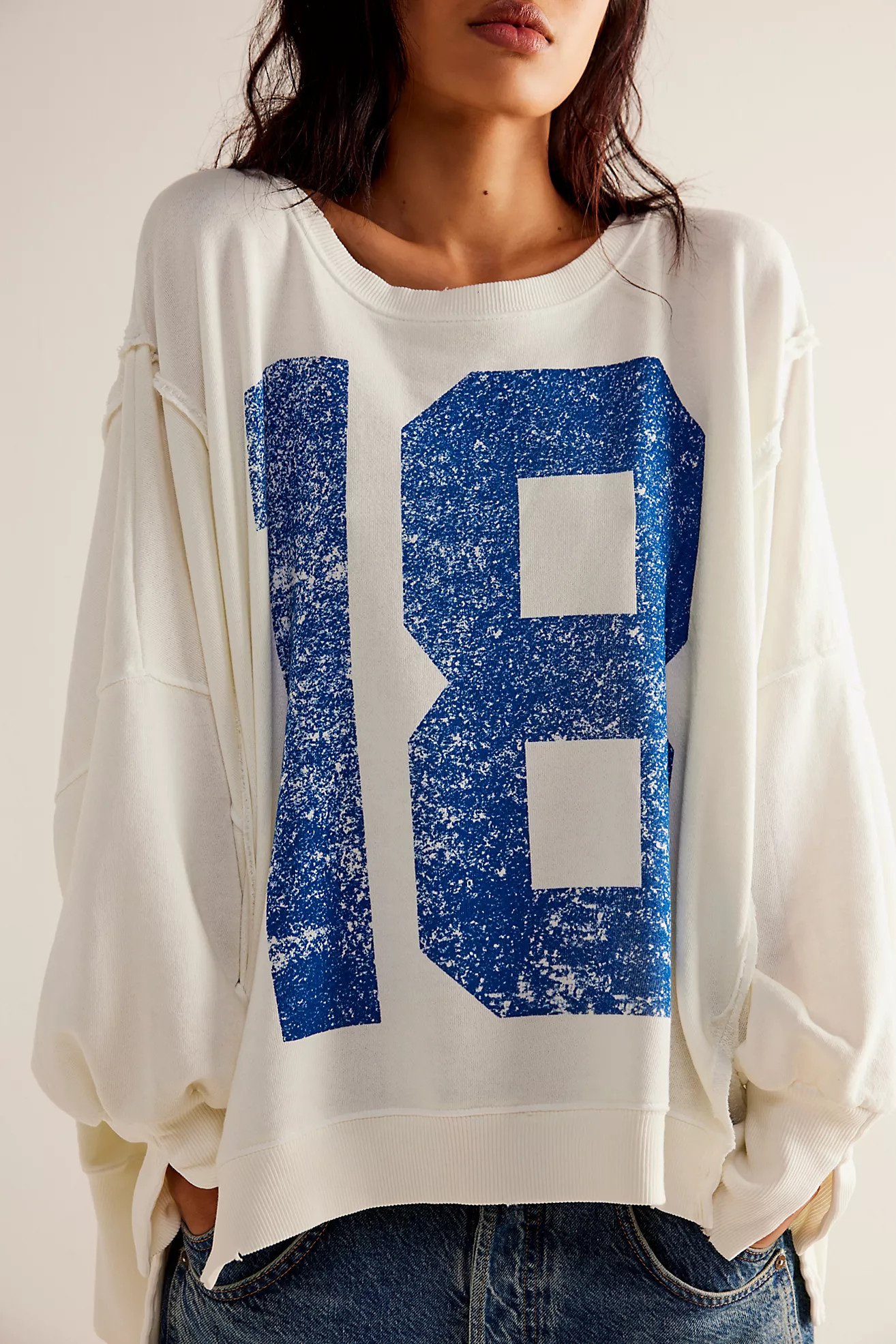 We The Free Graphic Camden Pullover | Free People (Global - UK&FR Excluded)