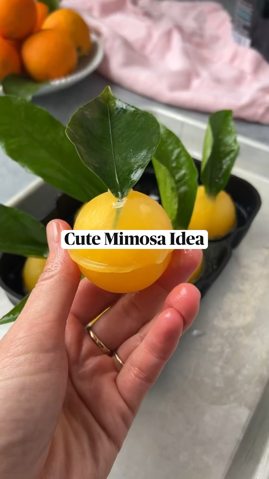 INGREDIENTS

orange juice
champagne
oranges or mandarins with leaves

INSTRUCTIONS

1. Cut leaves off of oranges and wash thoroughly. Set aside.
2. Fill sphere-shaped ice molds with orange juice and place a leaf in the opening, making sure to cover the stem and a small portion of the bottom of the leaf.
3. Place in freezer for 4 hours, or overnight.
4. Carefully remove the top of the mold as not to rip the leaves.
5. Place in glass, pour champagne over the top, and enjoy!

#LTKSpringSale #LTKhome #LTKSeasonal