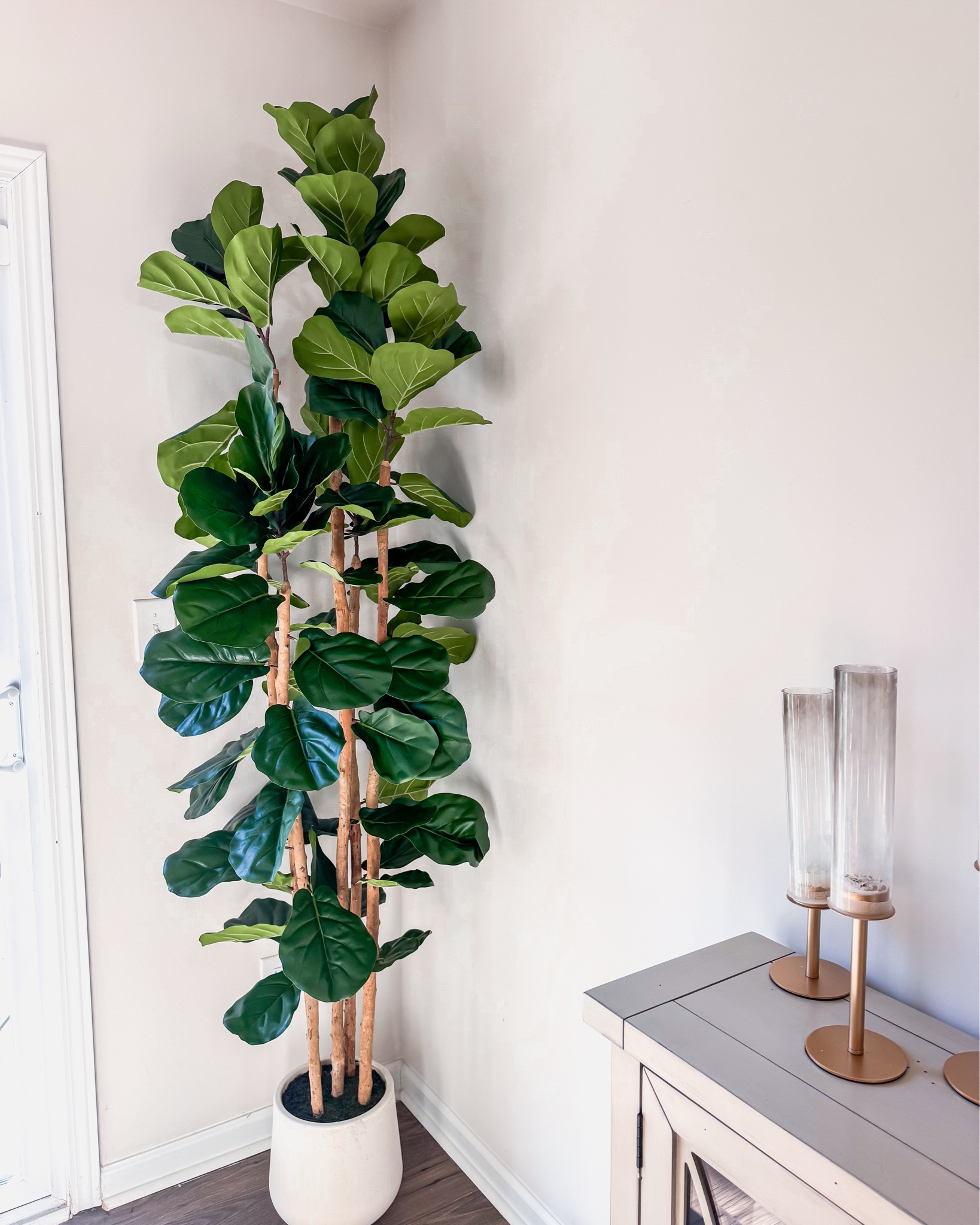 New Amazon finds for home, beauty and more!

#LTKHome #LTKselfcare #LTKBeauty