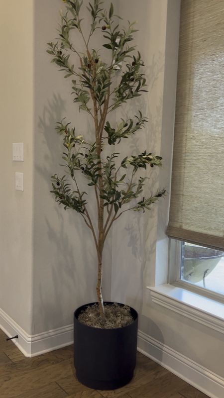 I told y’all that I loved my new olive tree in my bedroom. I truly wasn’t kidding— I bought the 7 foot tree for my living room. Best part is the 6 foot is under $50 and this 7 foot is under $60! Such a steal! 

Walmart 
Home Depot
Artificial tree
Fig tree
Faux tree
Faux plants
Greenery
Living room decor
Bedroom decor
Home decor
Home style

#LTKhome #LTKfindsunder50 #LTKsalealert