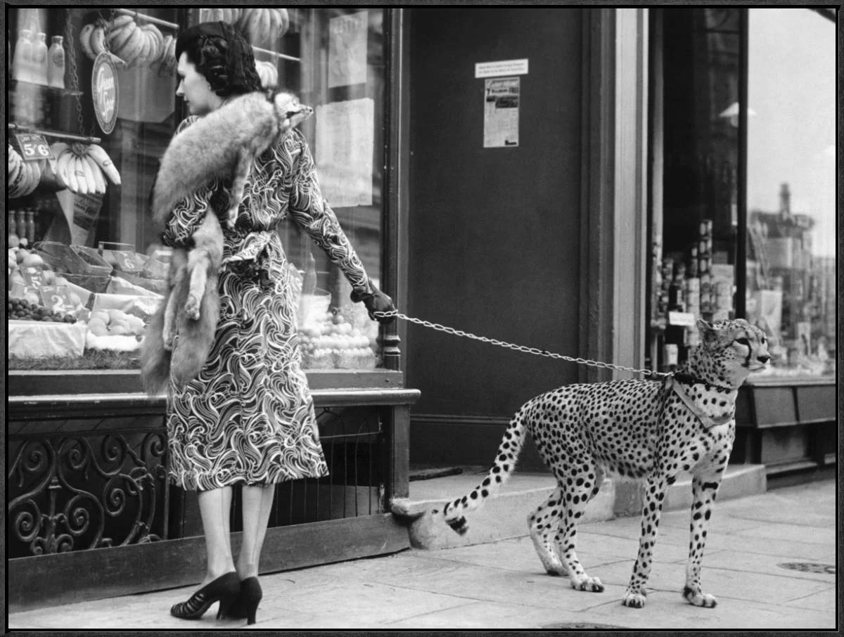 Global Gallery Elegant Woman with Cheetah by Anonymous - Picture Frame Photographic Print on Canv... | Wayfair North America