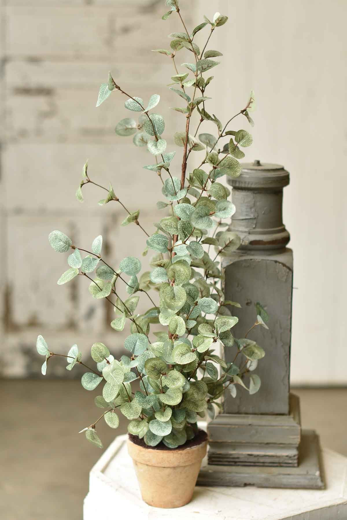 30" Garden Eucalyptus Tree | The Nested Fig