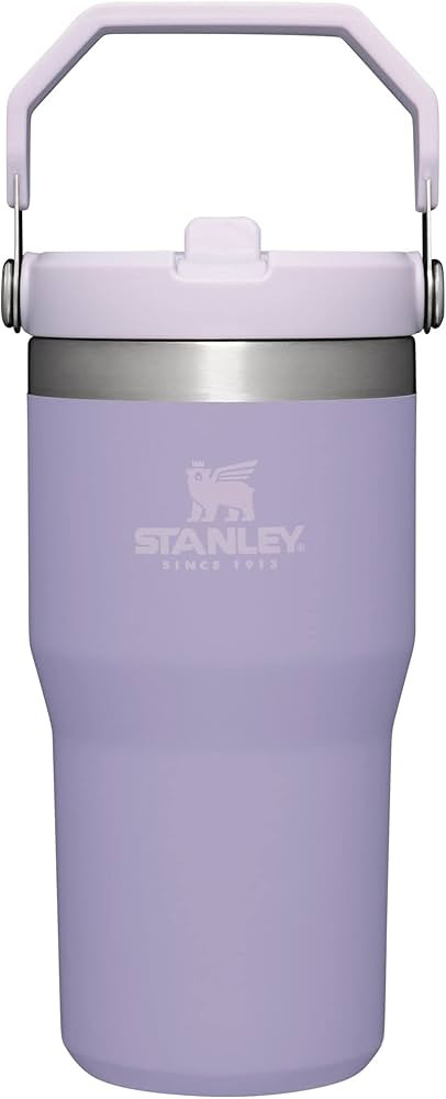 STANLEY IceFlow Stainless Steel Tumbler with Straw, Vacuum Insulated Water Bottle for Home, Offic... | Amazon (US)