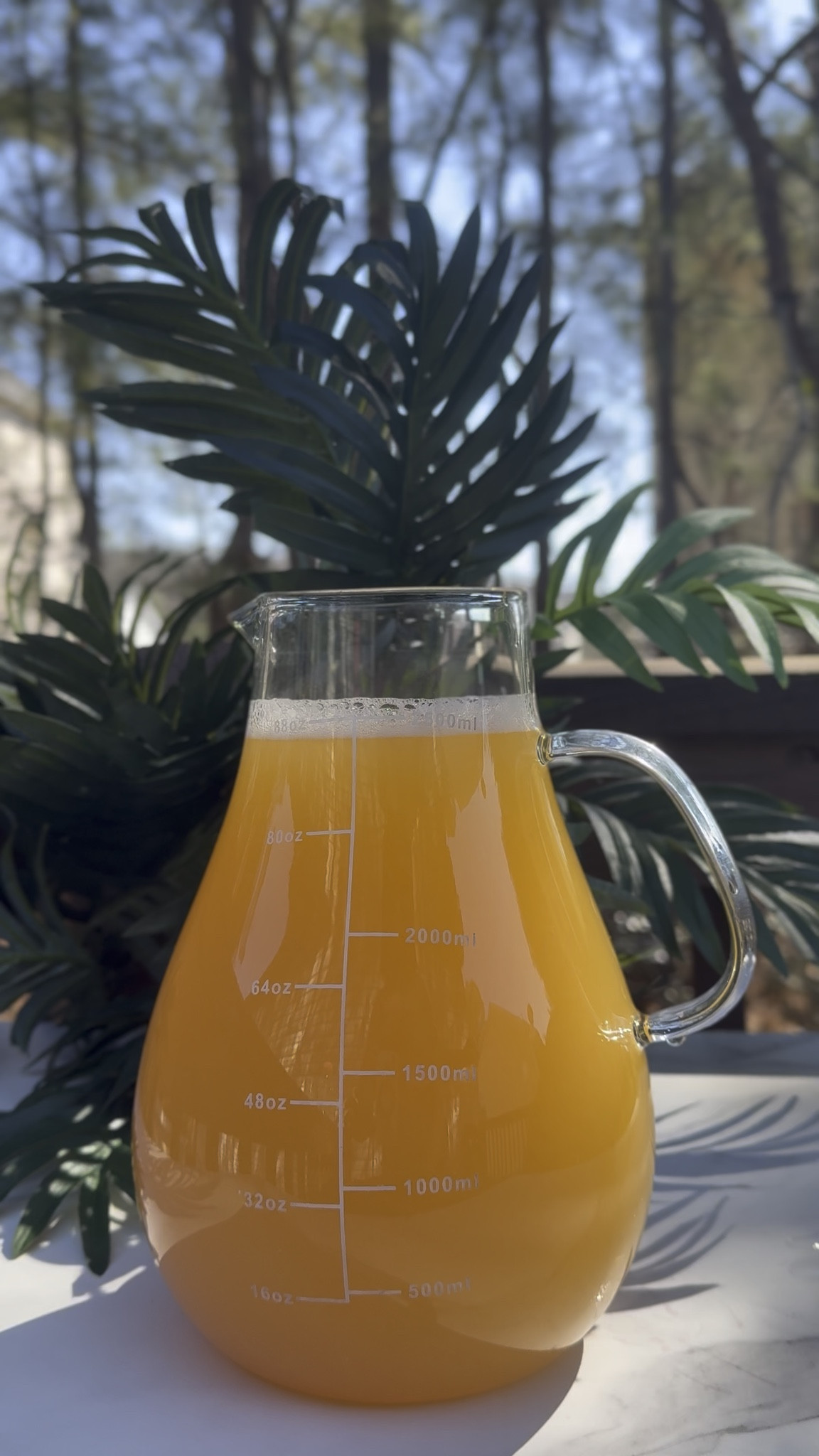 If you are looking for a thoughtful Mother’s Day gift, get mom a juicer. It is practical, meaningful, and something she can enjoy every single morning. Starting the day with fresh juice just hits different.

You can shop my favorite juicer on my LTK.

#ShoppingWithPriiincesss #MothersDayIdeas #JuicingLife #HealthyLiving #MomEssentials #WellnessJourney #GiftForMom #SelfCareRoutine #JuiceDaily #HealthyHabits #MomLifeStyle #WellnessGift #LifestyleEssentials #AtlantaMom #Atlantamom #Atlantabloggers #Atlantablogger #AtlantaCreator #Atlantacontentcreators #Atlantacontentcreator

#LTKmomlife #LTKHome #LTKfoodie