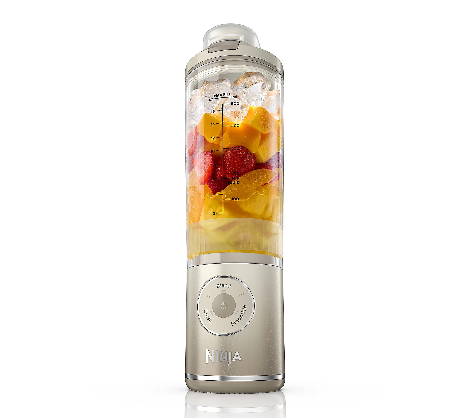Ninja Blast Max 22 oz Portable Blender | QVC