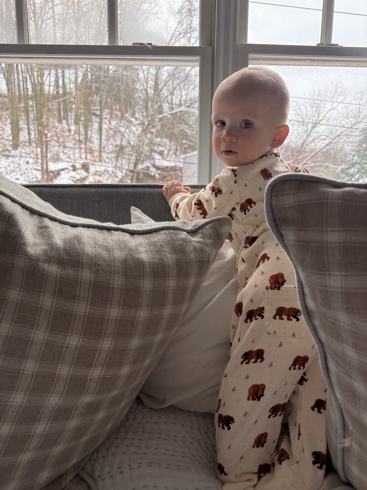 Brown Bear Brown Bear 

#LTKKids #LTKFindsUnder50 #LTKBaby