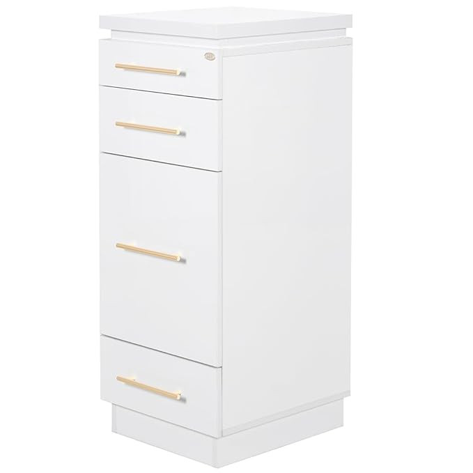 DIR Beauty Salon Trolley with Accessory Holder, Salon Side Station Trolley Cart Romance, White | Amazon (US)