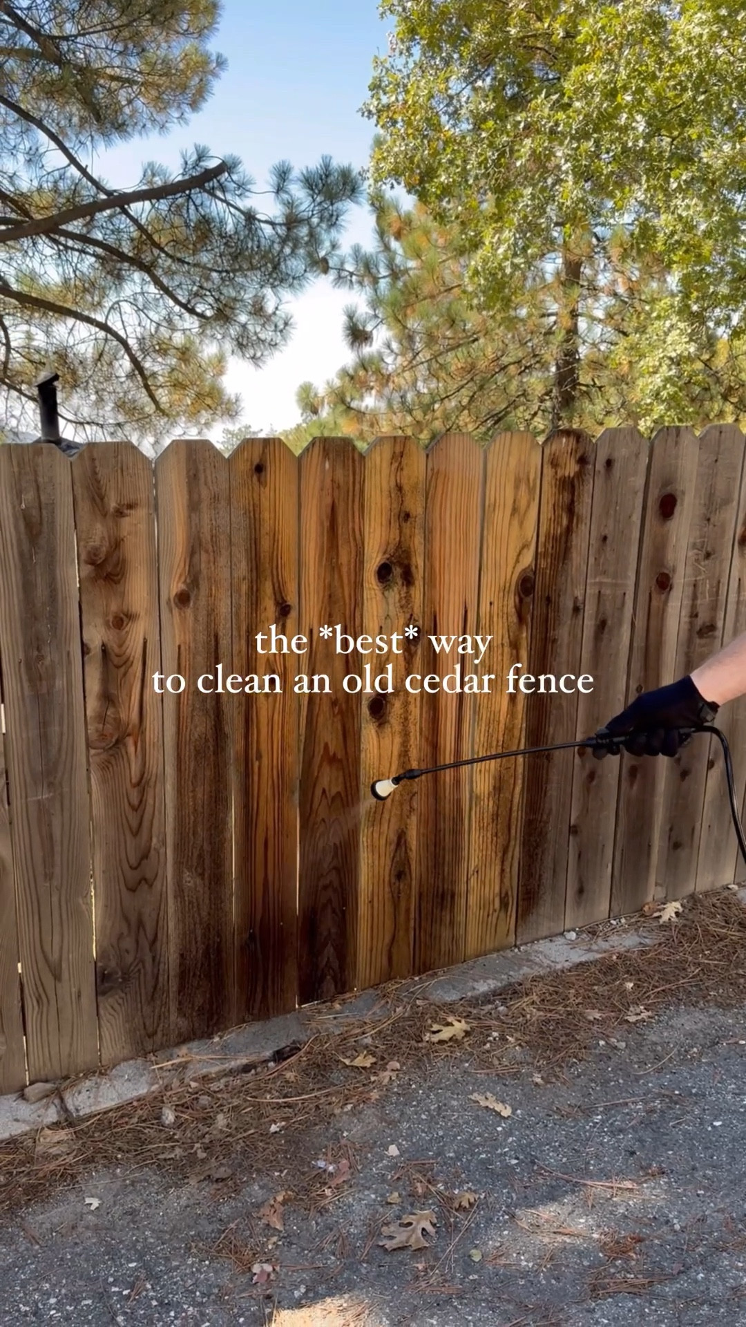 Everything, you need to clean an old cedar fence without sanding! #Walmart #WalmartHome #homehack #homehacks #cleaninghack

#LTKHome