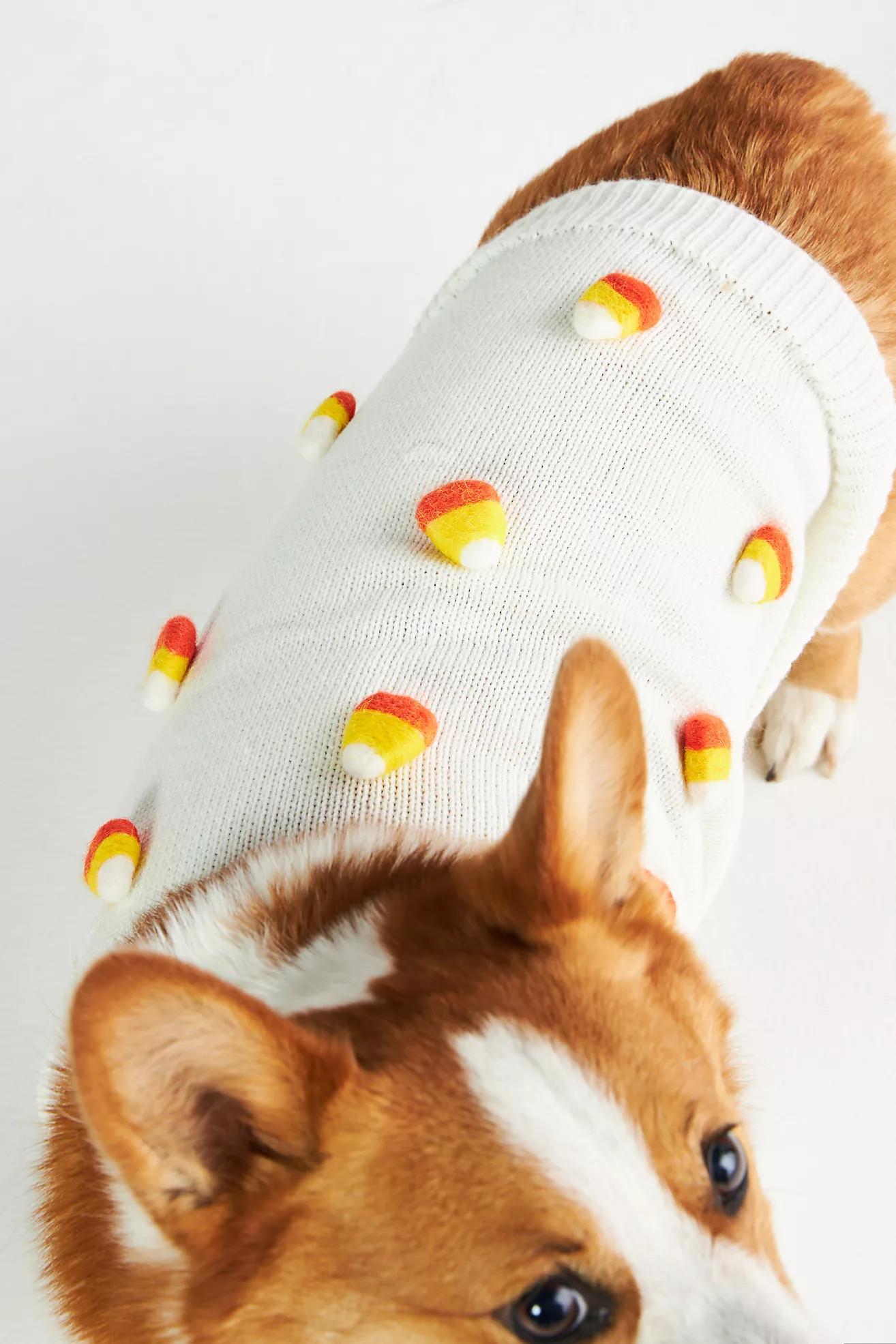 Seasonal 3D Motif Pet Sweater | Anthropologie (US)