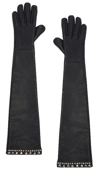 Wild Cat Long Gloves in Black | Revolve Clothing (Global)