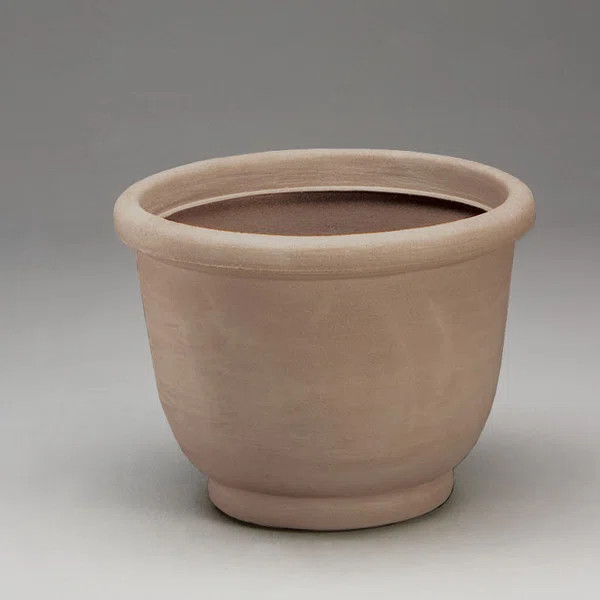 Leontion Resin Pot Planter | Wayfair North America