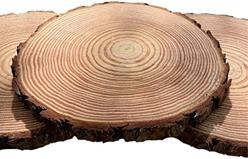 Set of (10) 9-9.9 inch Wood Slices for centerpieces! Wood Slice centerpieces, Wood Rounds, Tree S... | Amazon (US)
