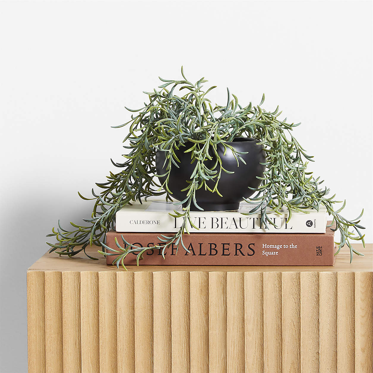 Potted Faux Green String of Fishhooks in Black Pot + Reviews | Crate & Barrel | Crate & Barrel