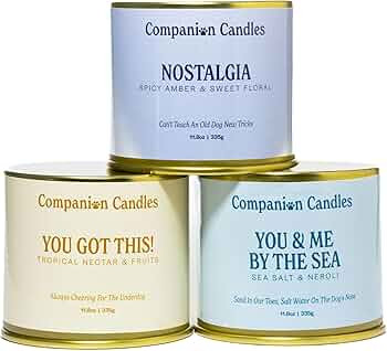 Pet Safe Wood Wick Candles - Sea Salt & Neroli, Citrus & Tropical Fruits, Amber & Florals, Coconu... | Amazon (US)