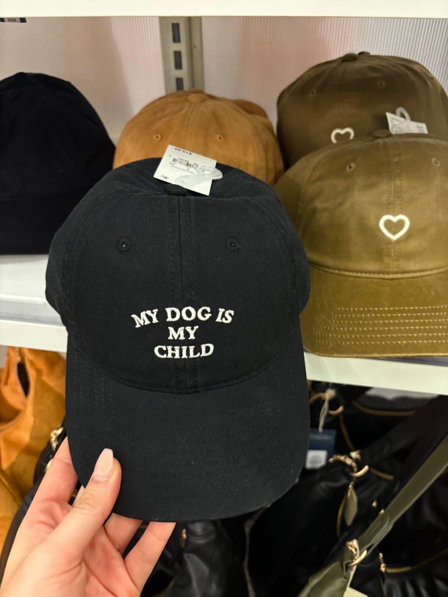 Fall fashion 🐶🐾 dog hats 

#LTKSeasonal #LTKFallSale #LTKActive