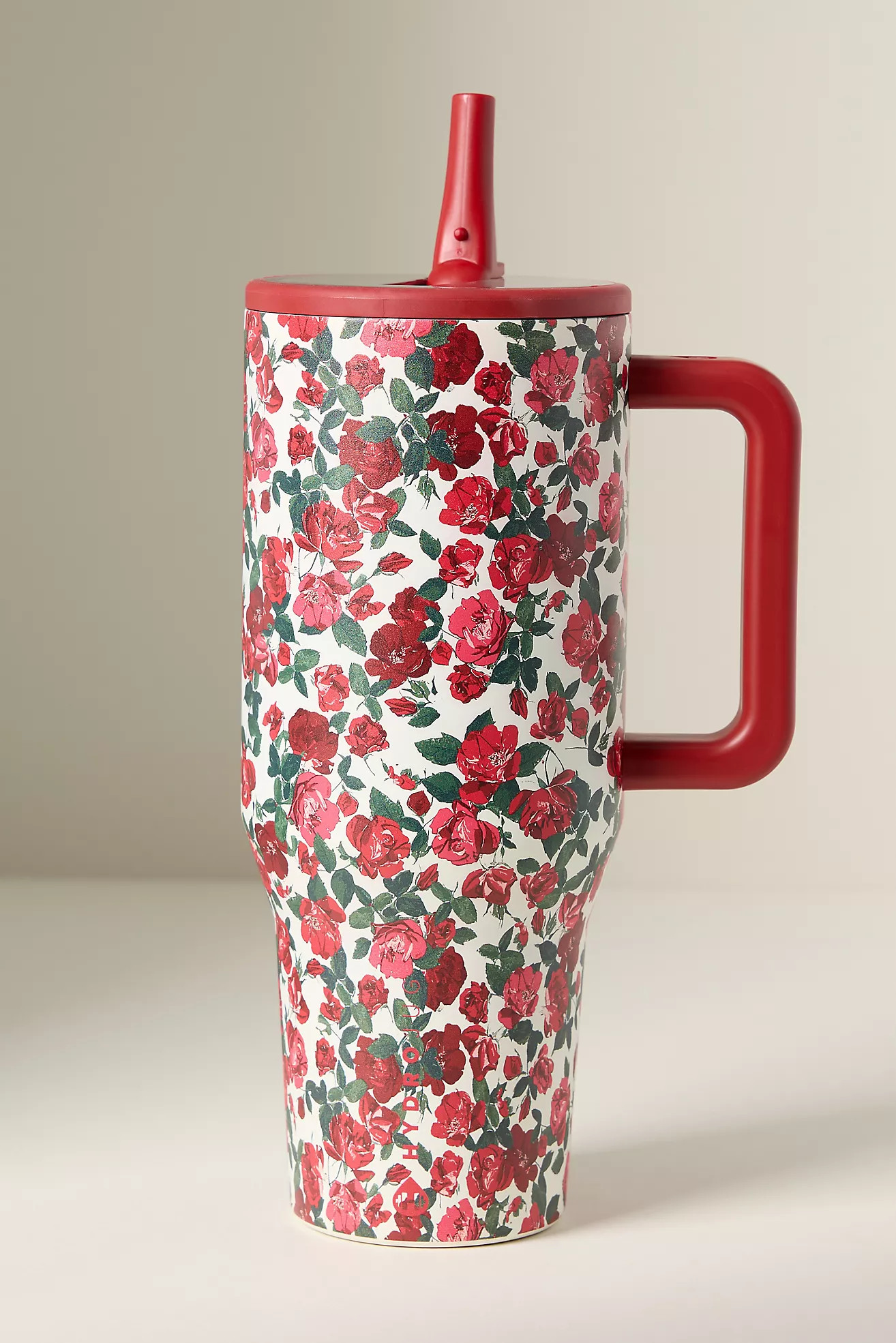 HydroJug 40 oz. Traveler | Anthropologie (US)