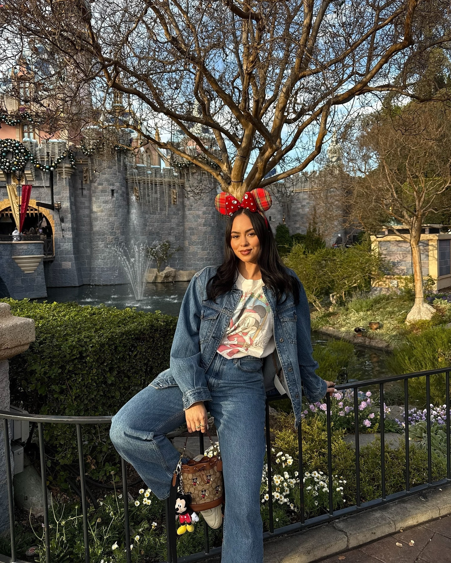 when you wish upon a ⭐️, you end up at @disneyland 🐭