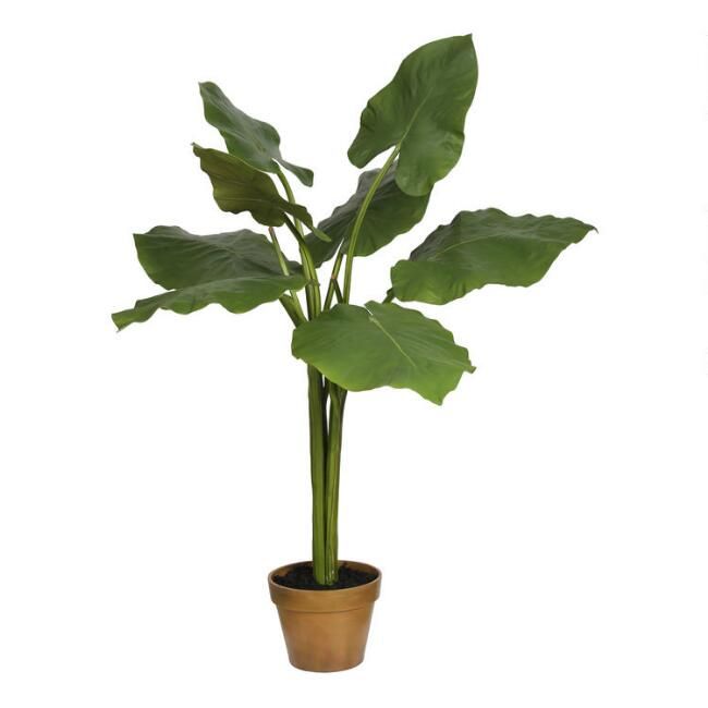 Faux Alocasia Tree | World Market