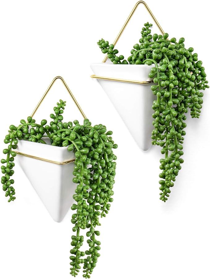 Dahey Geometric Wall Planter Hanging Vase with Artificial Succulent Plants Fake String of Pearls ... | Amazon (US)