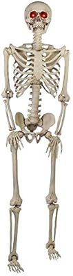 5 ft. Poseable Skeleton with LED Illumination | Amazon (US)