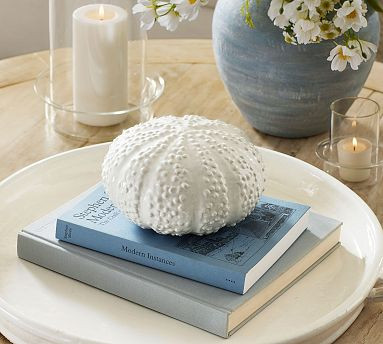 Ceramic Sea Urchin | Pottery Barn (US)