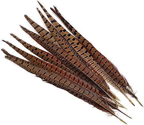 Lampu 10 Pcs 13-15 inch Natural Pheasant Feathers Pheasant Tails | Amazon (US)