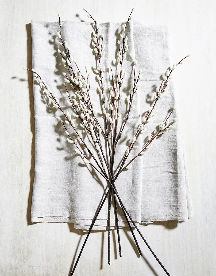 Pussy Willow Branches | Decorative Accessories | The  White Company | The White Company UK & ROW