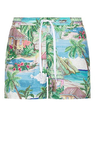 Vacation Daze Swim Short in Multi | Revolve Clothing (Global)