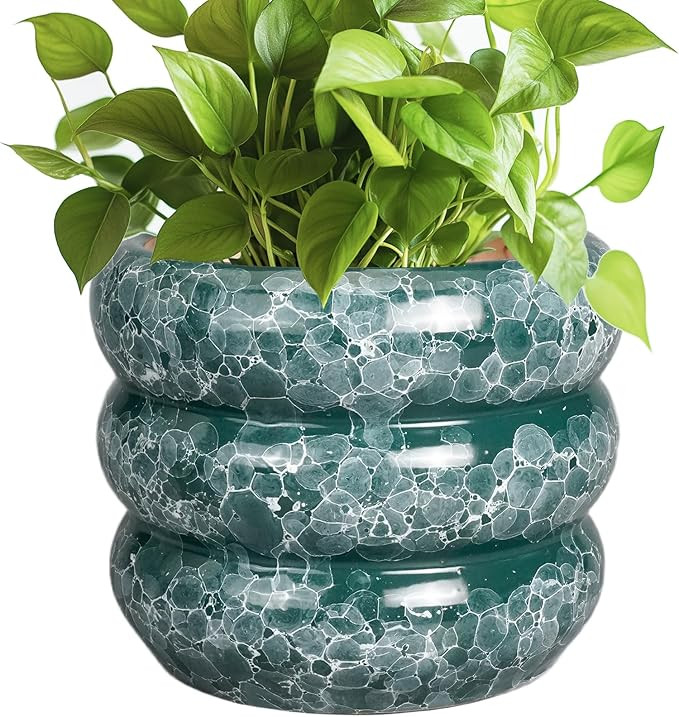 SQOWL 8 Inch Pot for Plants Indoor - Ceramic Planter Medium Plant Pot with Drainage Hole Round Fl... | Amazon (US)