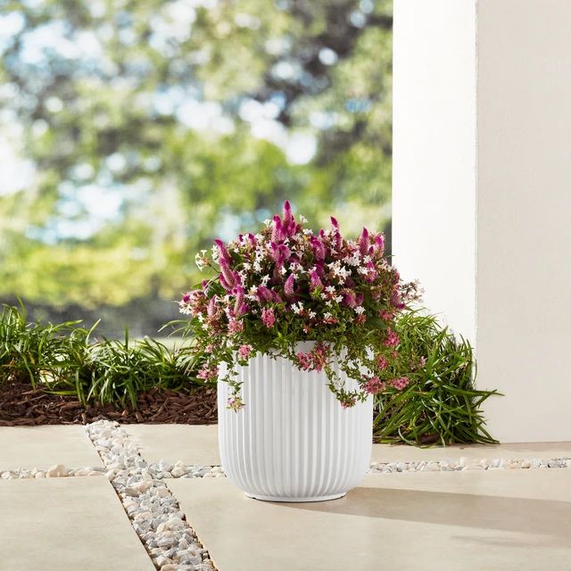 Better Homes & Gardens 16"W x 16"L x 15.8"H Ellan White Resin Plant Pot Planter | AliExpress (US)