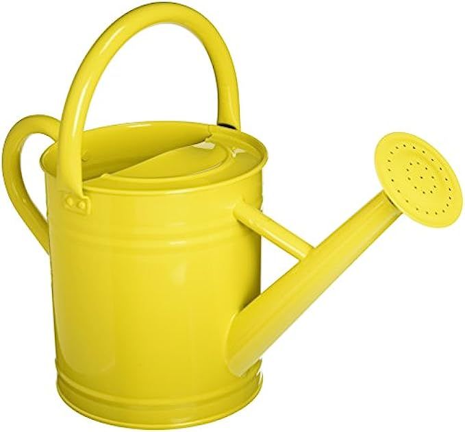 Gardener's Select AW3003P6LZ Watering Can, Lemon Yellow, 3.5 L | Amazon (US)