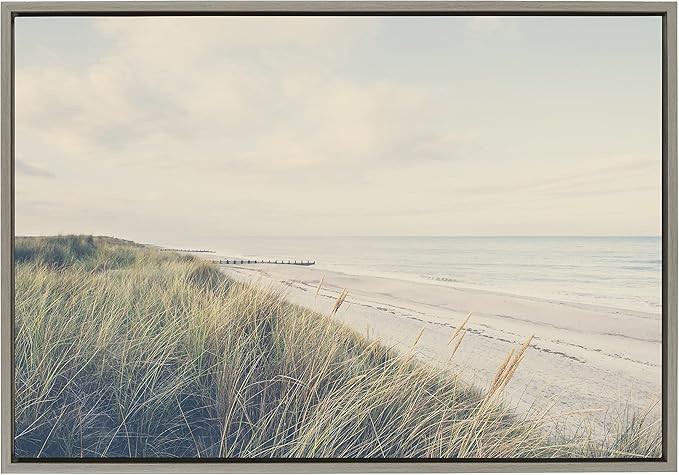 Kate and Laurel Sylvie The Perfect Day Framed Canvas Wall Art by Laura Evans, 23x33 Gray, Decorat... | Amazon (US)