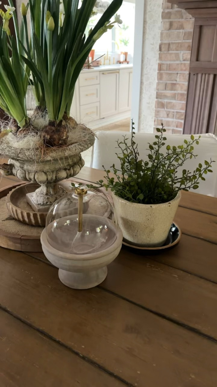 Here is a beautiful tabletop decor arrangement including some of my new items from Terrain as well as this realistic faux plant for Interior Delights.

#LTKSeasonal #LTKHome