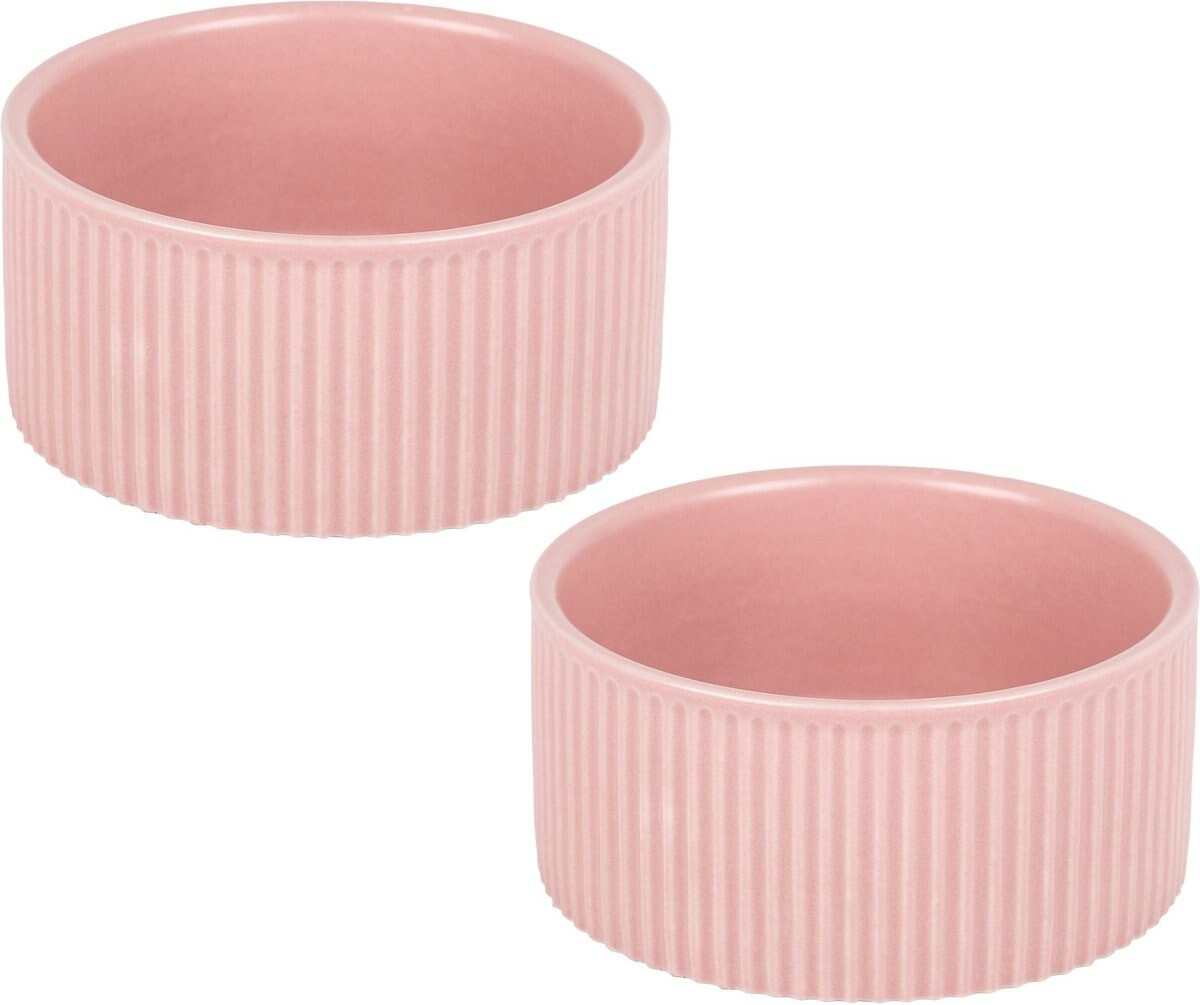 PARK LIFE DESIGNS Jardin Ceramic Ribbed Effect Dog Bowls, 2 count, Pink, 2-cup - Chewy.com | Chewy