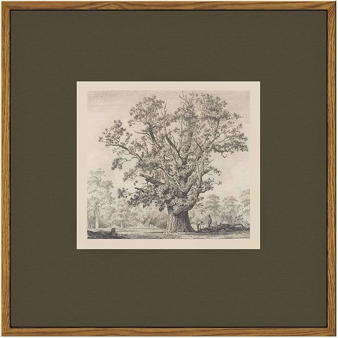 InSimSea Vintage Tree Canvas Wall Art, 12x12 Square Framed Botanical Sketch Print, Retro painting... | Amazon (US)