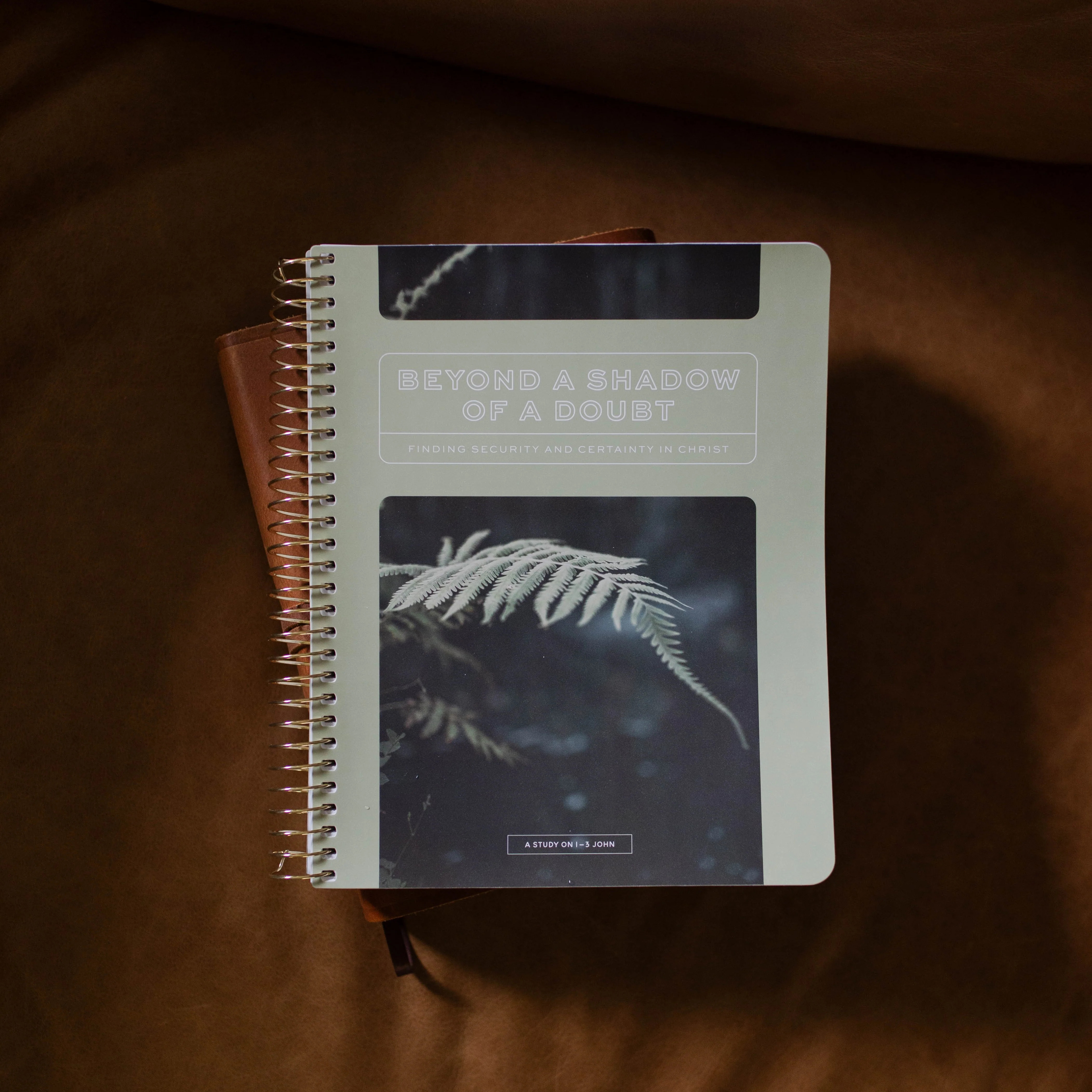 Beyond a Shadow of a Doubt: Finding Security & Certainty In Christ | A Study on the Letters of Jo... | The Daily Grace Co.